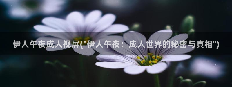 伊人久久小影院：伊人午夜成人视屏(\