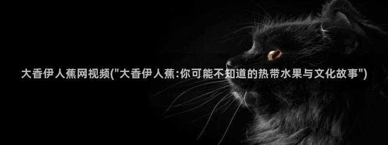 伊人牲交视屏：大香伊人蕉网视频(\