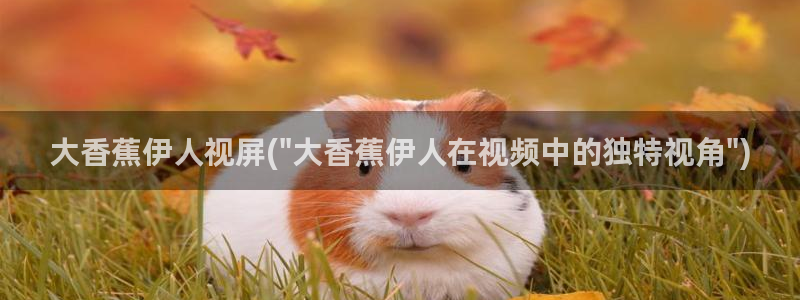 韩国的伊人视屏在线播放：大香蕉伊人视屏(\