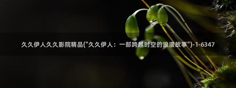 大香伊人蕉官网视频：久久伊人久久影院精品(\