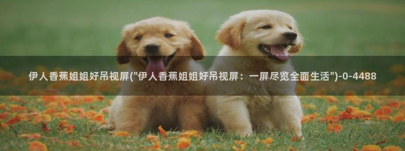 大香蕉伊人久久影院：伊人香蕉姐姐好吊视屏(\