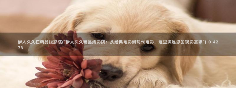 伊人丁香网视频：伊人久久在精品线影院(\