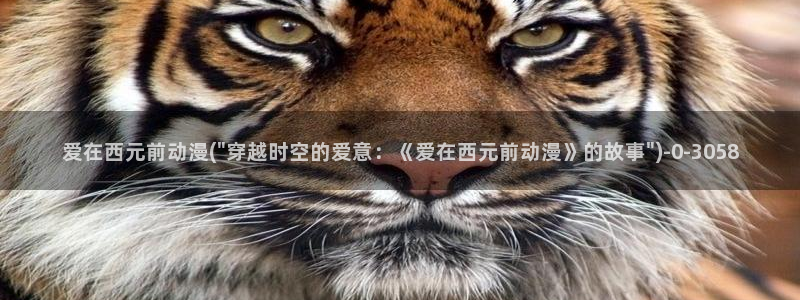 成人动漫电影
