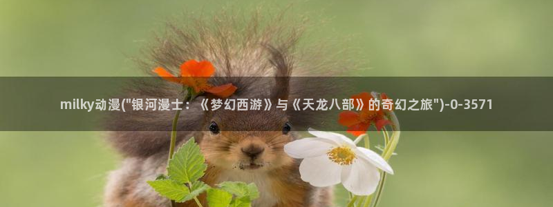 梦幻西游动漫