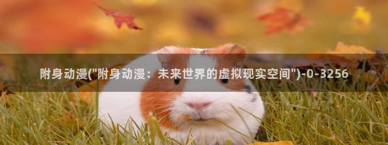 云动漫