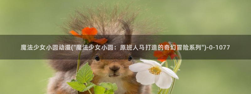 动漫游戏