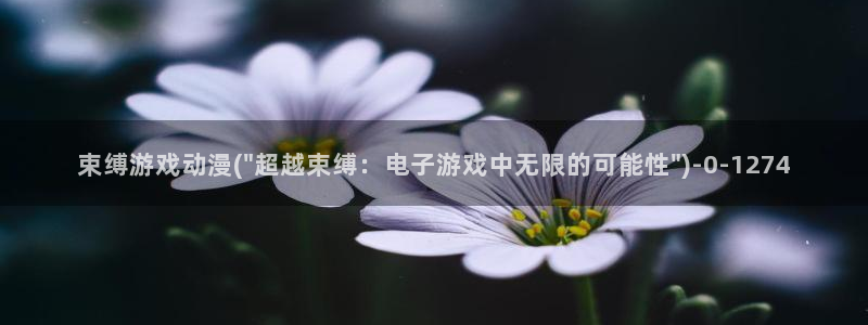 卡通动漫画：束缚游戏动漫(\