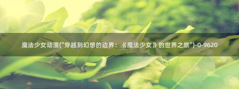 大尺度动漫：魔法少女动漫(\